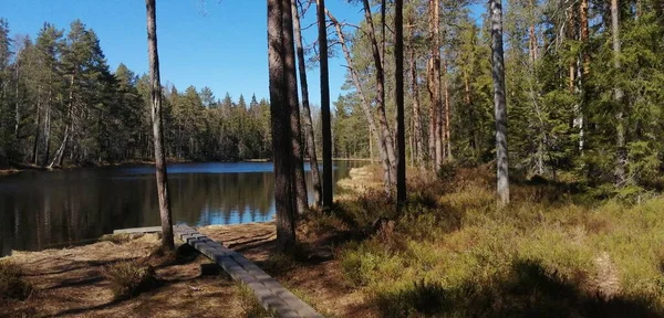 Foto Che Faccio Bicicletta Camminando Fuori Fermarsi Guardare Natura — Foto Stock