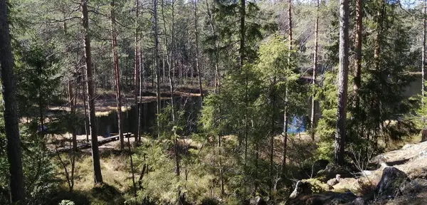 Bisiklet sürerken ya da dışarıda yürürken çektiğim resimler. Durdur ve doğayı izle.. 