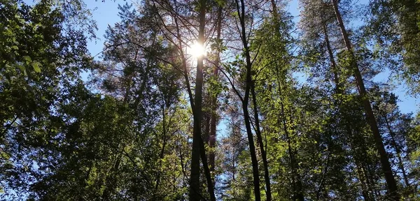 Bisiklet sürerken ya da dışarıda yürürken çektiğim resimler. Durdur ve doğayı izle.. 