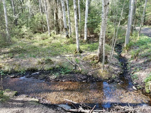 Bisiklet sürerken ya da dışarıda yürürken çektiğim resimler. Durdur ve doğayı izle.. 