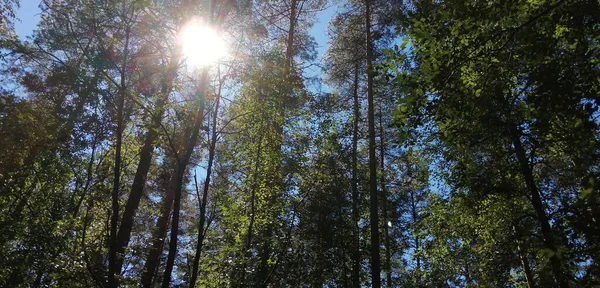 Bisiklet sürerken ya da dışarıda yürürken çektiğim resimler. Durdur ve doğayı izle.. 