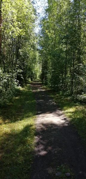 Bisiklet sürerken ya da dışarıda yürürken çektiğim resimler. Durdur ve doğayı izle.. 