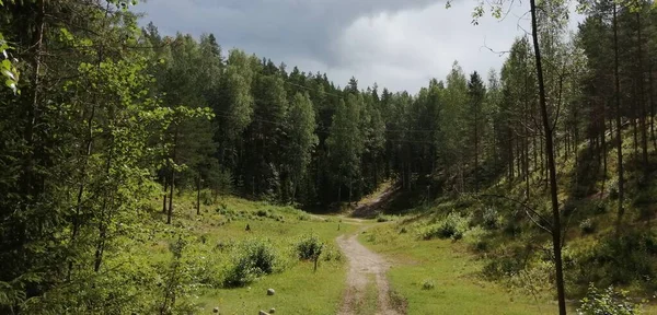 Bisiklet sürerken ya da dışarıda yürürken çektiğim resimler. Durdur ve doğayı izle.. 