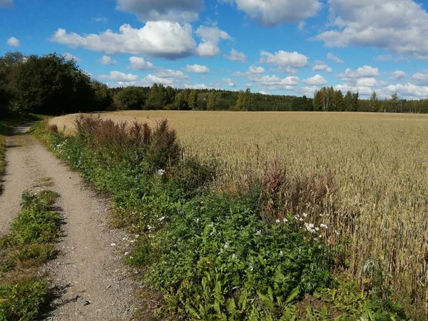 Bisiklet sürerken ya da dışarıda yürürken çektiğim resimler. Durdur ve doğayı izle.. 
