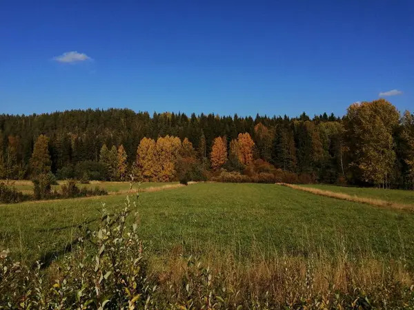 Bisiklet sürerken ya da dışarıda yürürken çektiğim resimler. Durdur ve doğayı izle.. 