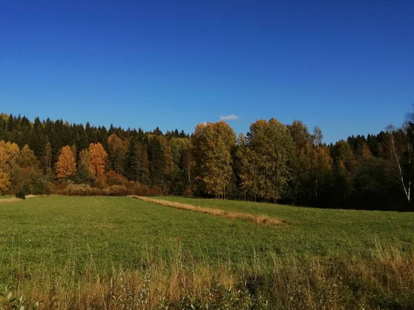 Bisiklet sürerken ya da dışarıda yürürken çektiğim resimler. Durdur ve doğayı izle.. 