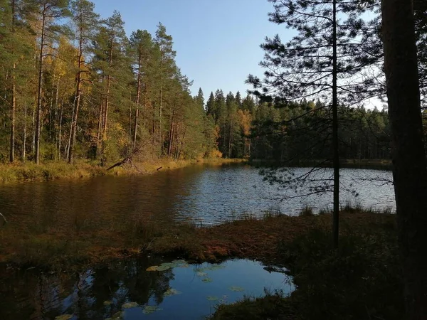 Foto Che Faccio Bicicletta Camminando Fuori Fermarsi Guardare Natura — Foto Stock