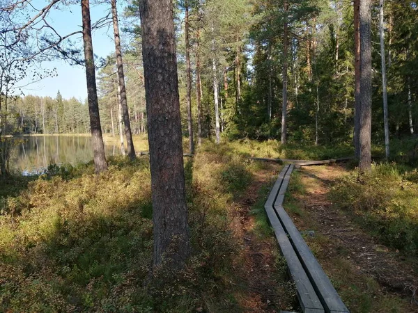Bisiklet sürerken ya da dışarıda yürürken çektiğim resimler. Durdur ve doğayı izle.. 