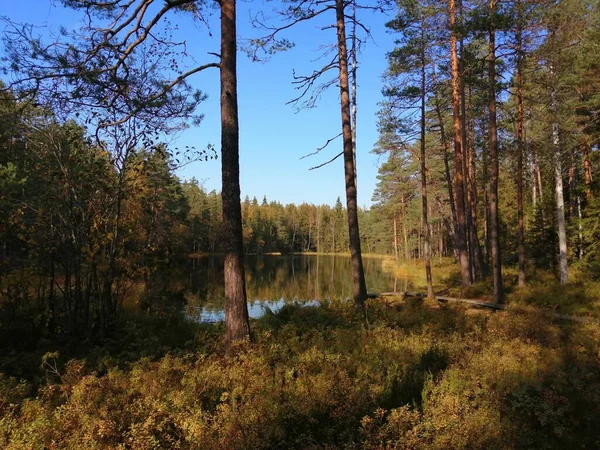 Bisiklet sürerken ya da dışarıda yürürken çektiğim resimler. Durdur ve doğayı izle.. 