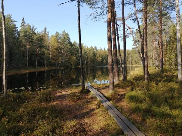 Bisiklet sürerken ya da dışarıda yürürken çektiğim resimler. Durdur ve doğayı izle.. 