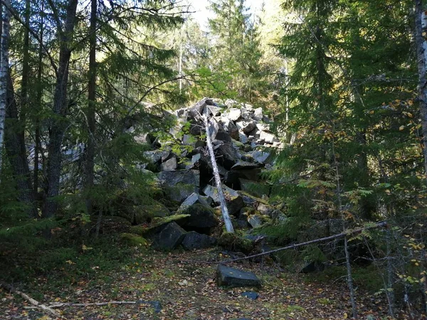 Bisiklet sürerken ya da dışarıda yürürken çektiğim resimler. Durdur ve doğayı izle.. 