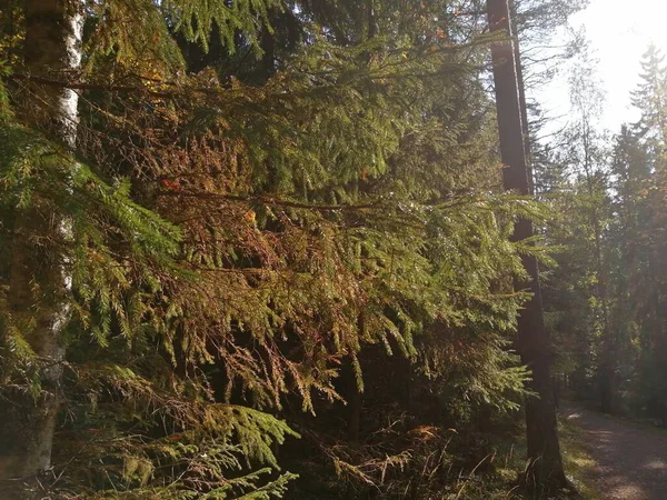 Bisiklet sürerken ya da dışarıda yürürken çektiğim resimler. Durdur ve doğayı izle.. 