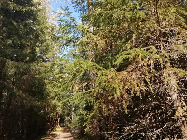 Bisiklet sürerken ya da dışarıda yürürken çektiğim resimler. Durdur ve doğayı izle.. 
