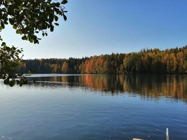 Фотографії Які Роблю Під Час Їзди Велосипеді Або Виходу Вулицю — стокове фото