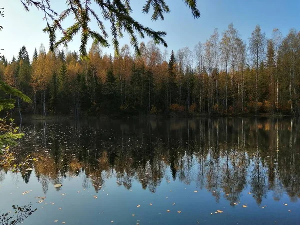 Foto Che Faccio Bicicletta Camminando Fuori Fermarsi Guardare Natura — Foto Stock