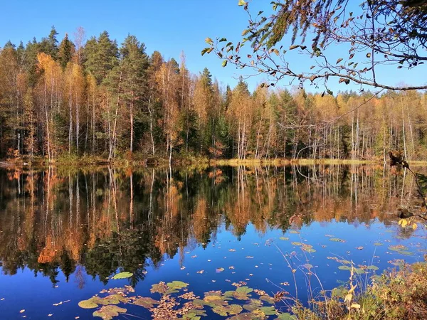 Foto Che Faccio Bicicletta Camminando Fuori Fermarsi Guardare Natura — Foto Stock