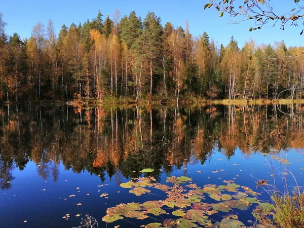 Foto Che Faccio Bicicletta Camminando Fuori Fermarsi Guardare Natura — Foto Stock