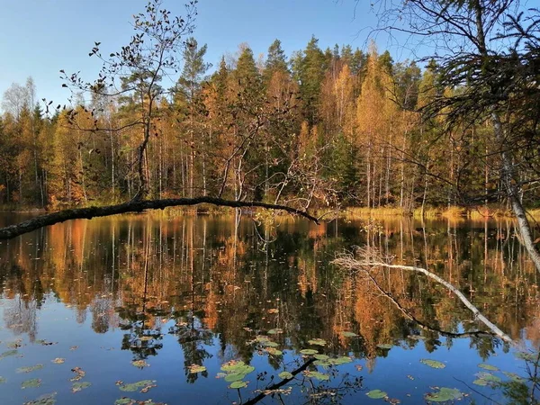 Bisiklet sürerken ya da dışarıda yürürken çektiğim resimler. Durdur ve doğayı izle.. 