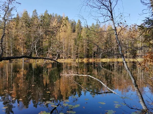 Bisiklet sürerken ya da dışarıda yürürken çektiğim resimler. Durdur ve doğayı izle.. 