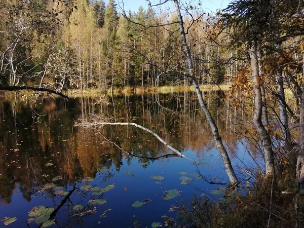 Foto Che Faccio Bicicletta Camminando Fuori Fermarsi Guardare Natura — Foto Stock