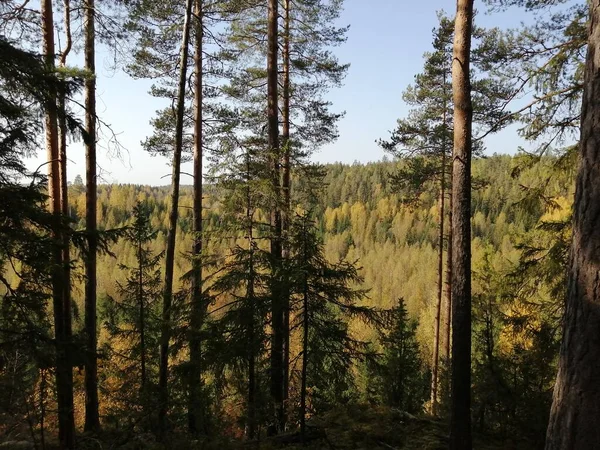 Biciklizés Vagy Sétálás Közben Készítek Képeket Csak Állj Meg Figyeld — Stock Fotó