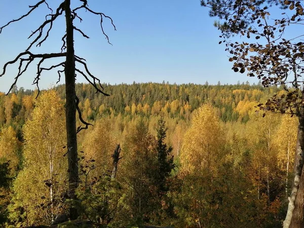 Foto Che Faccio Bicicletta Camminando Fuori Fermarsi Guardare Natura — Foto Stock