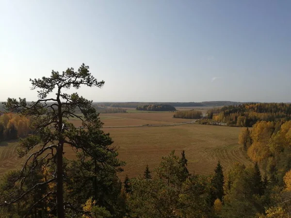 Bisiklet sürerken ya da dışarıda yürürken çektiğim resimler. Durdur ve doğayı izle..