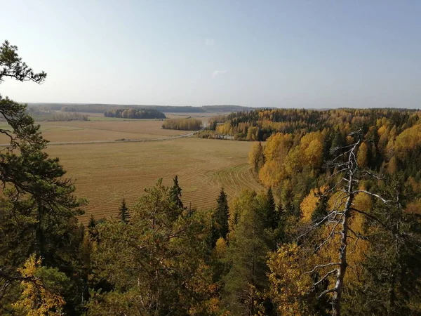Bisiklet sürerken ya da dışarıda yürürken çektiğim resimler. Durdur ve doğayı izle..