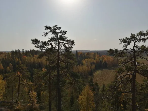 Bisiklet sürerken ya da dışarıda yürürken çektiğim resimler. Durdur ve doğayı izle..