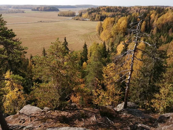 Bisiklet sürerken ya da dışarıda yürürken çektiğim resimler. Durdur ve doğayı izle..