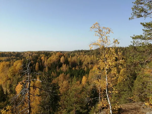 Pictures Take Biking Walking Just Pause Watch Nature — Stock Photo, Image