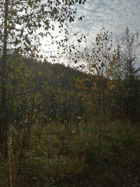 Bisiklet sürerken ya da dışarıda yürürken çektiğim resimler. Durdur ve doğayı izle..