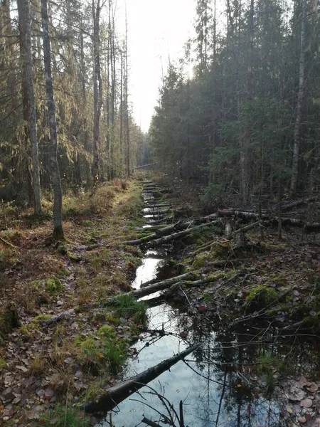 Bisiklet sürerken ya da dışarıda yürürken çektiğim resimler. Durdur ve doğayı izle..