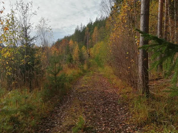 Bisiklet sürerken ya da dışarıda yürürken çektiğim resimler. Durdur ve doğayı izle..