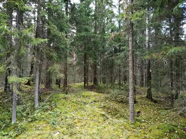 Bisiklet sürerken ya da dışarıda yürürken çektiğim resimler. Durdur ve doğayı izle..