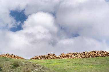 Yeşil çayır ve bulutlu gökyüzü olan dağ manzarası. Köknar kütüklerinin arasında. Belluno Dolomites Ulusal Parkı 'ndaki Vaia fırtınası tarafından düşen ağaç gövdelerinin kurtarılması. Monte Avena, Belluno, İtalya