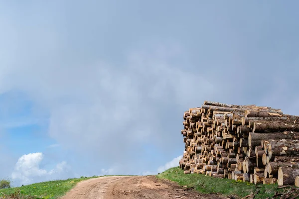 Piles of fir logs piled up along the mountain road with blue sky. Copy space. Recovery of the trunks of trees felled by the storm Vaia in the Belluno Dolomites National Park. Monte Avena, Belluno, Italy — Stock Image Piles Fir Logs Piled Mountain Road Blue Sky Copy Space Stock Photo