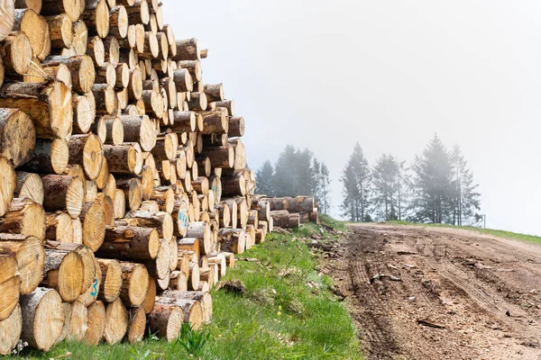 Piles of fir logs piled up along the mountain road with foggy sky and trees. Recovery of the trunks of trees felled by the storm Vaia in the Belluno Dolomites National Park. Monte Avena, Belluno, Italy — Stock Image Piles Fir Logs Piled Mountain Road Foggy Sky Trees Recovery Stock Image