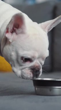 Parlak ve canlı sarı bir top, yumuşak, gri bir yüzeyde rahatça dinleniyor, neşeli ve neşeli bir tema sergiliyor.