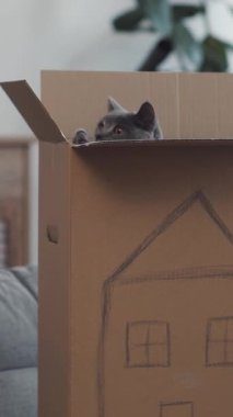 Bu karton kutunun sevimli bir ev çizimi var, çocuklar için ideal aktiviteler ya da DIY el işi projeleri.