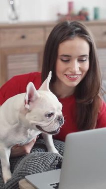 Neşeli genç bir kadın dizüstü bilgisayarını kullanırken sevimli Fransız Bulldog 'uyla keyifle vakit geçiriyor.