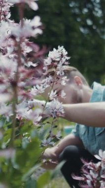 Parallax yakın plan, genç sakallı hippi berber erkek bahçıvan rahat giyiniyor ve çiçek çalılıklarıyla çalışan eldivenleri koruyor bahçe aletleri kullanıyordu. Doğa bahçesi yaz güneşi parlayan böcekler arısı. Kırmızı EPIC kamerayla çekilmiş. Yavaş Hareket Görüntüsü.