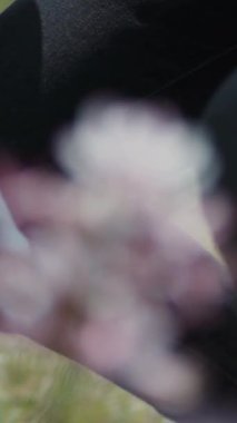 Genç, çekici, sakallı, modern bir adam büyük bir yaz bahçesinde yürüyor, elinde secateurs çim aletleri, bahçe aletleri, çiçekleri özenle kesiyor. Kırmızı EPIC kamerayla çekilmiş. Yavaş Hareket Görüntüsü.