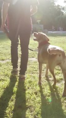 Bir insan köpeğiyle parkta yürümekten hoşlanır. Gün batımına ve uzun gölgelerine hayranlık duyar. Huzur yaratır.
