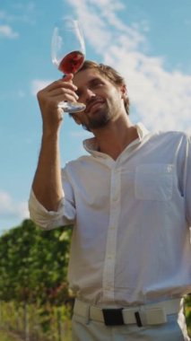 Bir adam güneşli gökyüzünün altında güzel bir üzüm bağında oturmuş bir bardak şarabın tadını çıkarıyor.