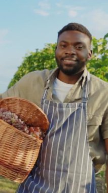 Kendini adamış bir çiftçi, açık gökyüzünün altındaki yemyeşil bir üzüm bağında özenle toplanmış taze üzümleri topluyor.