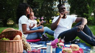Çekici Afro-Amerikan çift ve kızı şehir parkında genç bir adam piknik yapıyor kadın ve çocukla konuşuyor dışarıda eğleniyor yavaş çekim gülümsüyor yaz güneşi doğası birlikte rahatlıyor