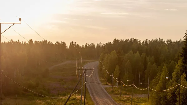 Bir Orman Yolu Ile Sırasında Günbatımı Manzara Yol Boyunca Aydınlatma — Stok fotoğraf