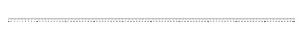 Linjalen 100 Centimeter Precist Mätverktyg Tum Storlek Indikatorer Kalibrering Rutnät — Stock vektor