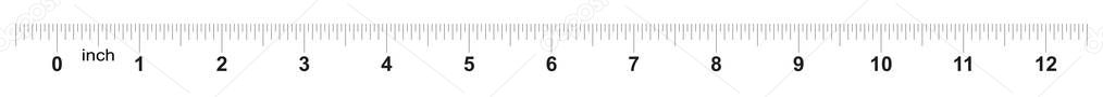 Ruler 12 inches. Metric inch size indicator. Decimal system grid. Measuring tool.